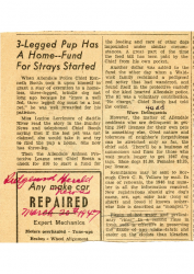 1947-03-20  2 legged pup has a home