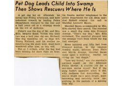 1947-04-13  Pet dog leads child ito swamp then shows rescuers where he is