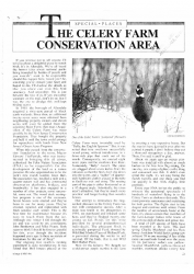 1980 CELERYFARM Conservation Area by Stile Thomas