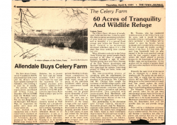1981-04-09 CELERYFARM Allendale buys Celery Farm